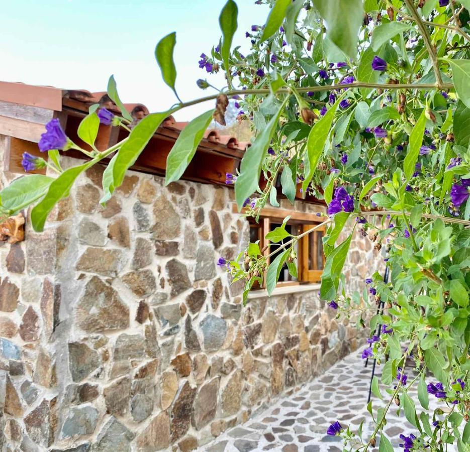 Aretis Sea View House
