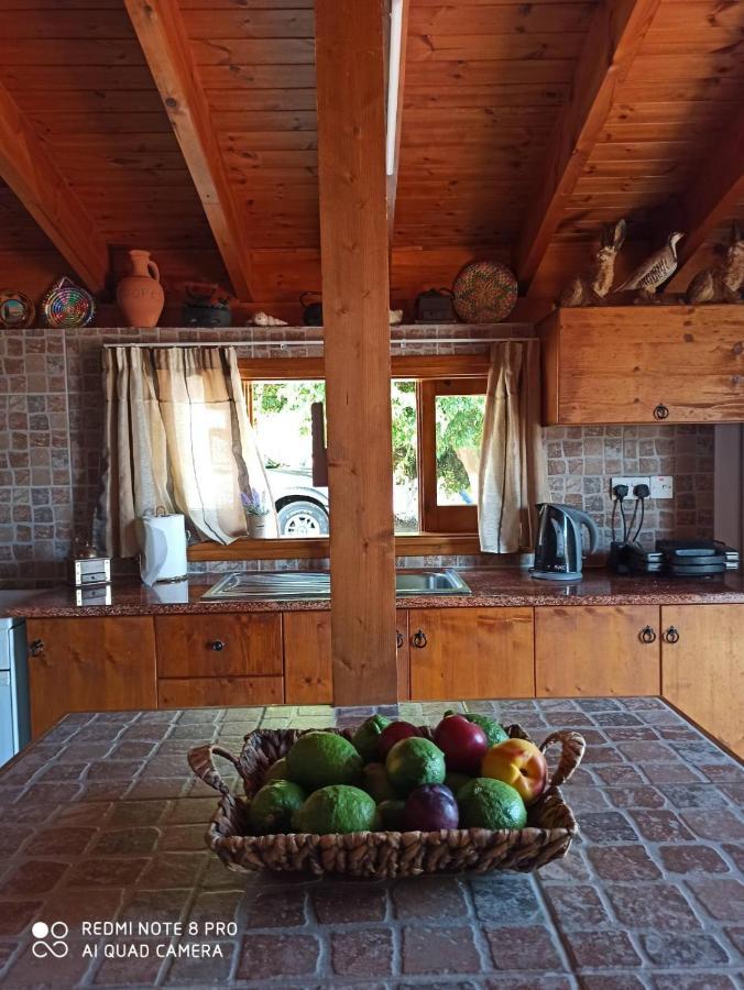 Case de vacanță Aretis Sea View House